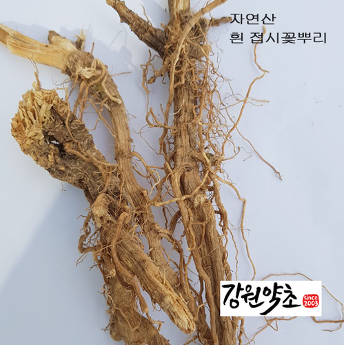 국산 자연산 흰 접시꽃뿌리 (백계근)